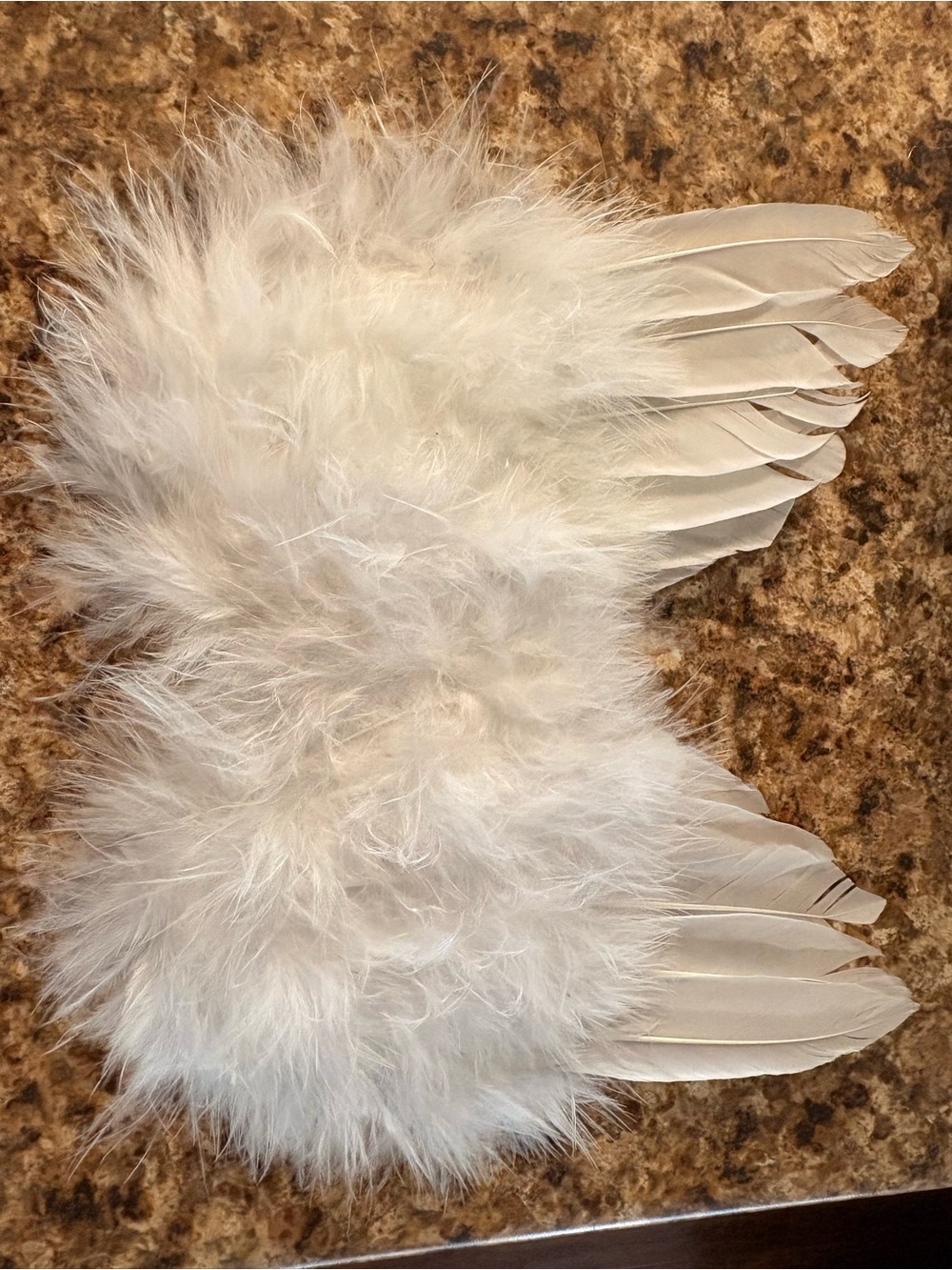 Photograph angel wings for infant